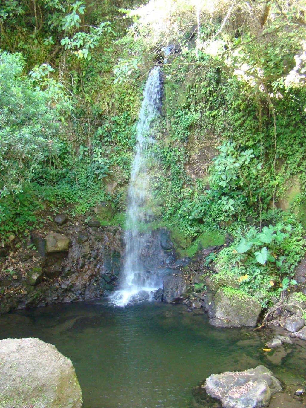 Potential Wildlife Sightings