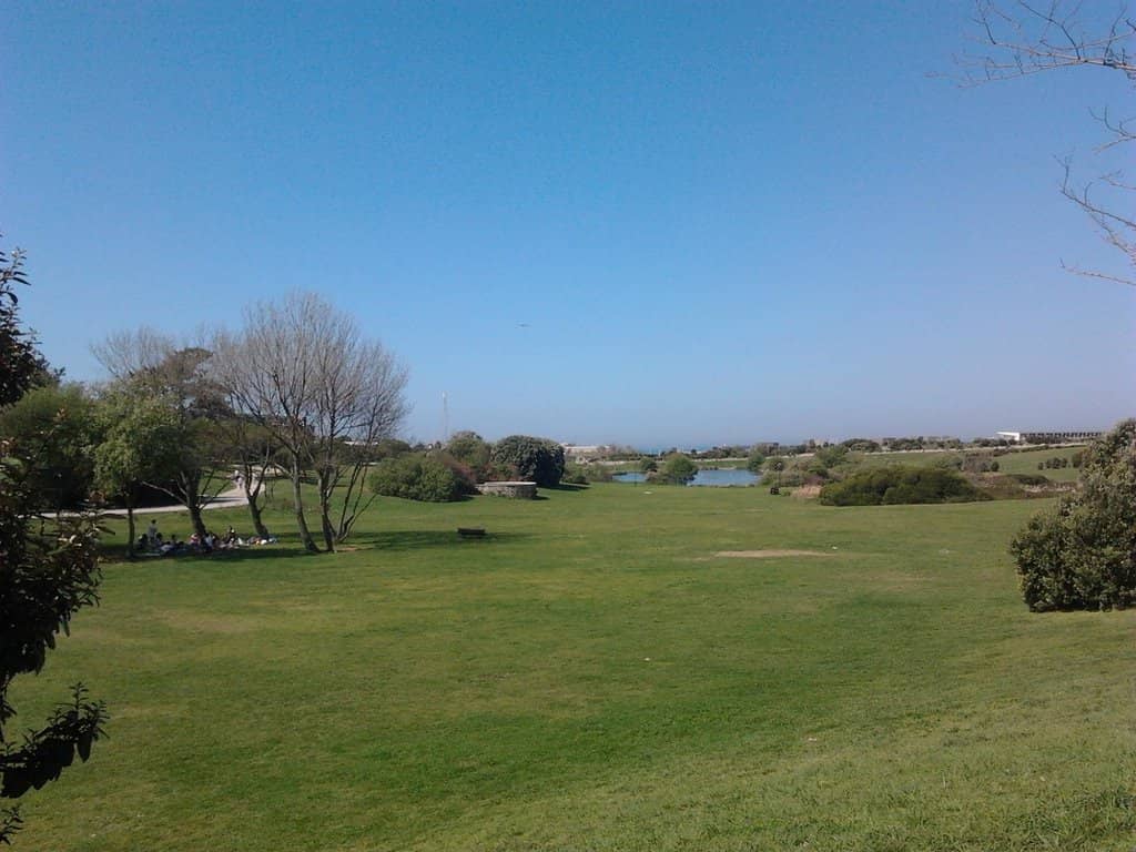 Panoramic City Views