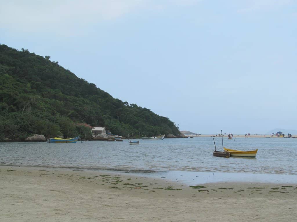 Scenic Hiking Trails