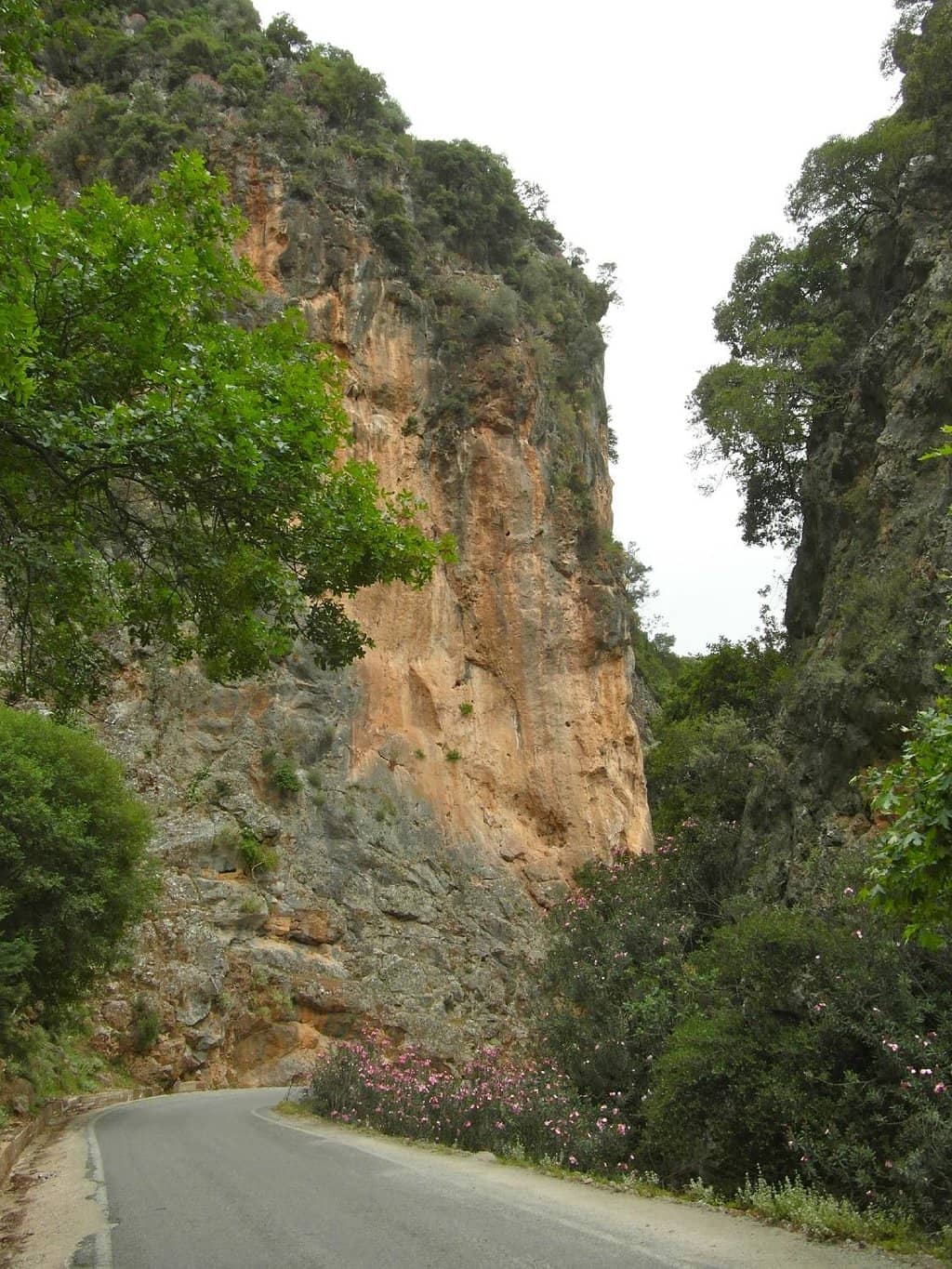 Theriso Gorge Drive