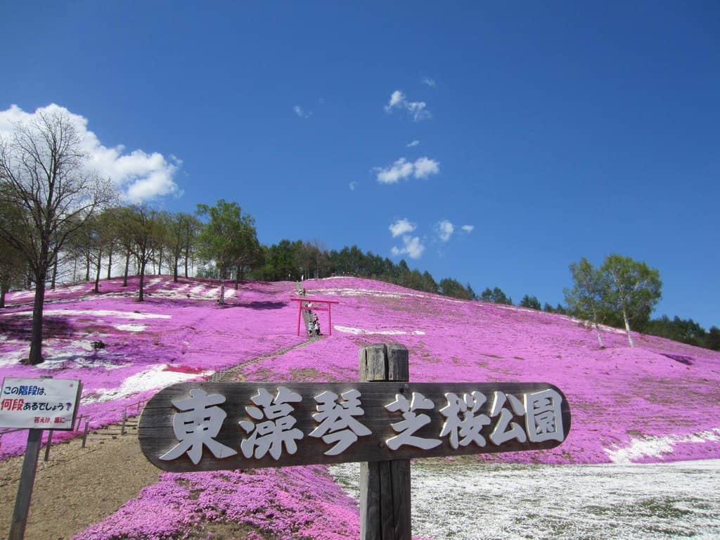 Pink Torii Gate