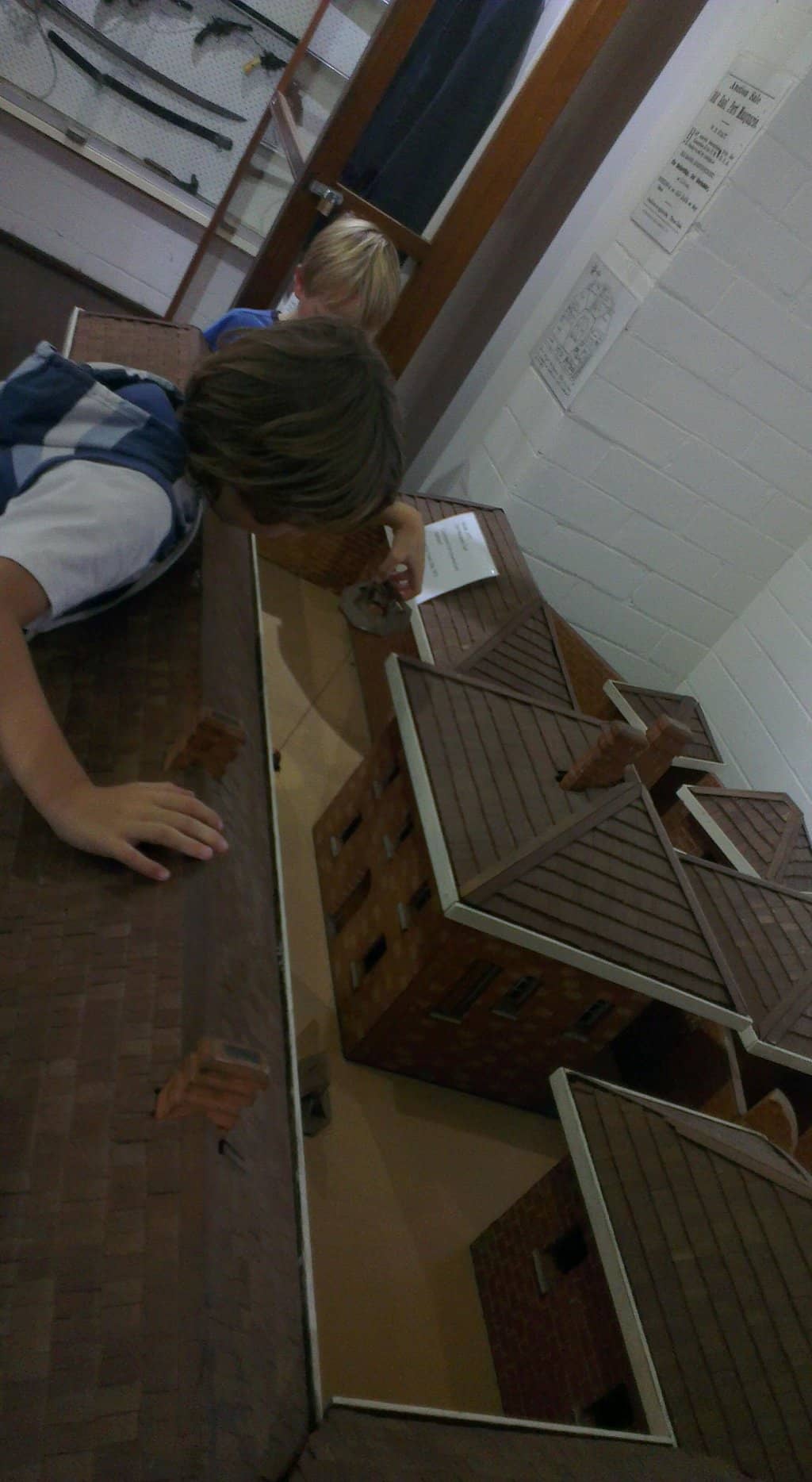 Pioneer Life Displays