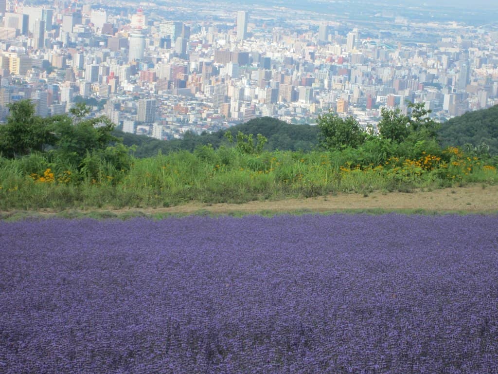 Panoramic City Views