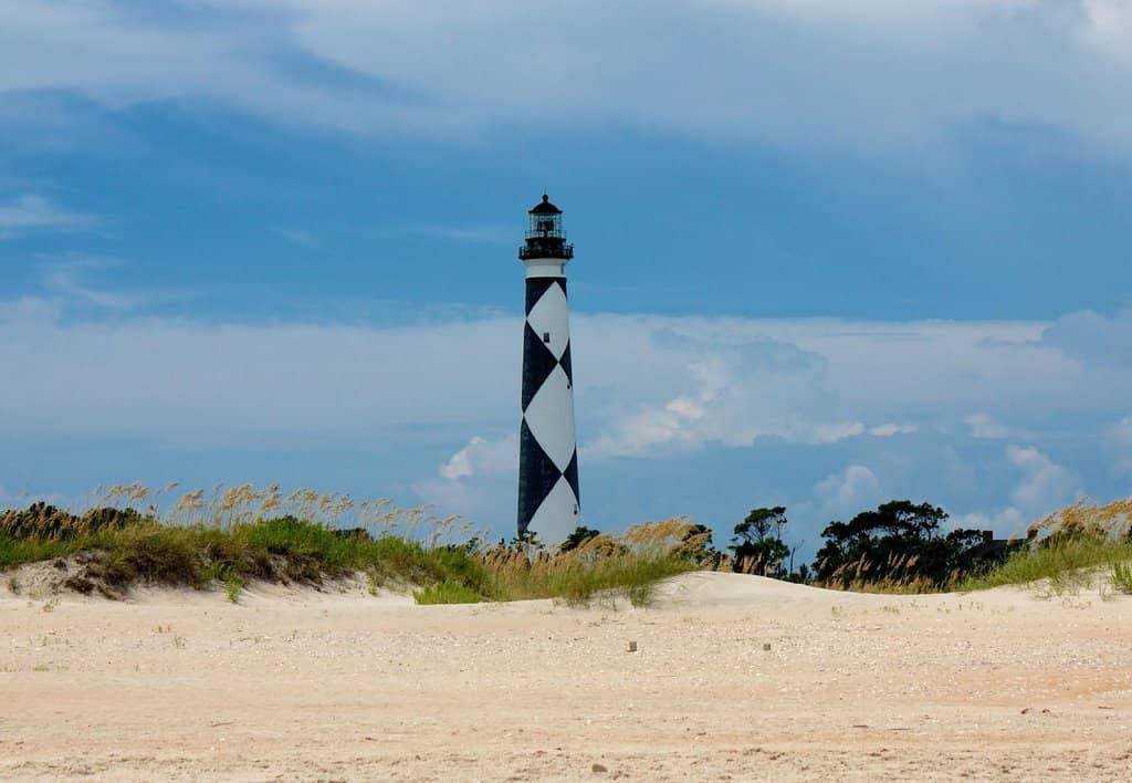 Wild Horses of Shackleford Banks