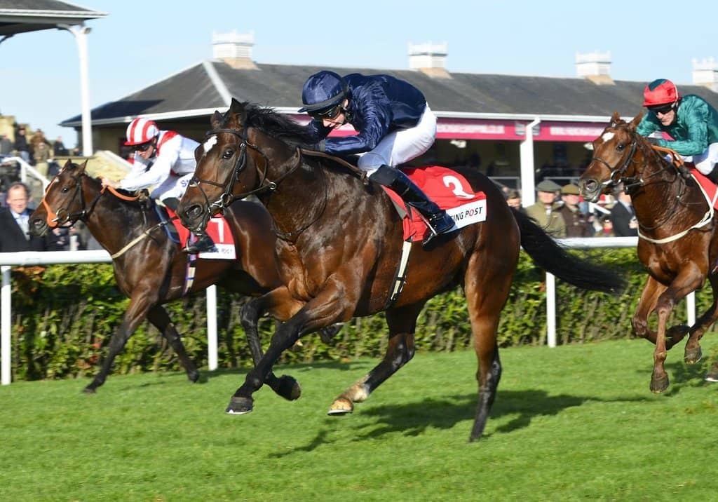 UAE President's Cup Series