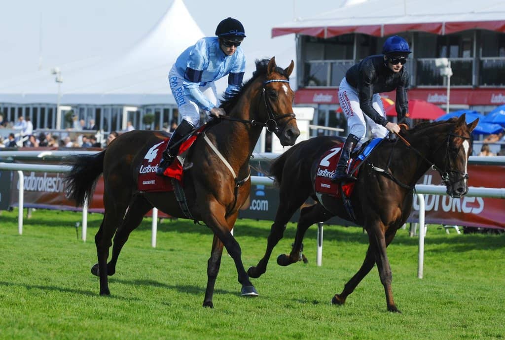 Cowboys & Country Racenight