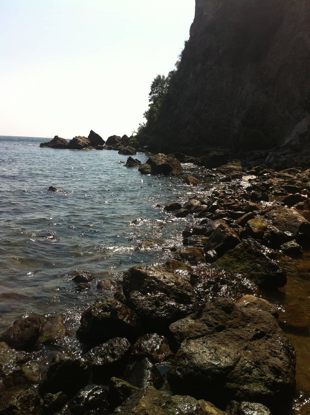Vertical photo
