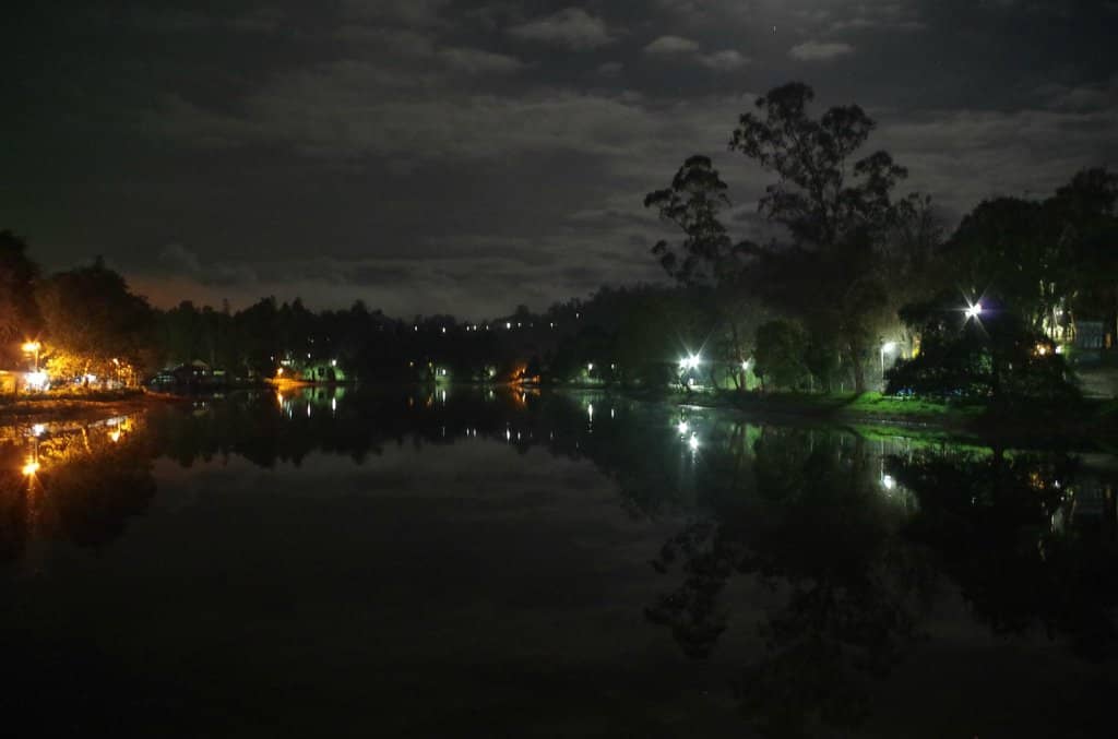 Evening Stroll by the Lake