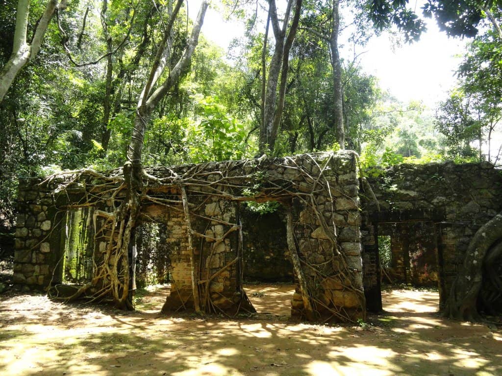 Instagrammable Spots