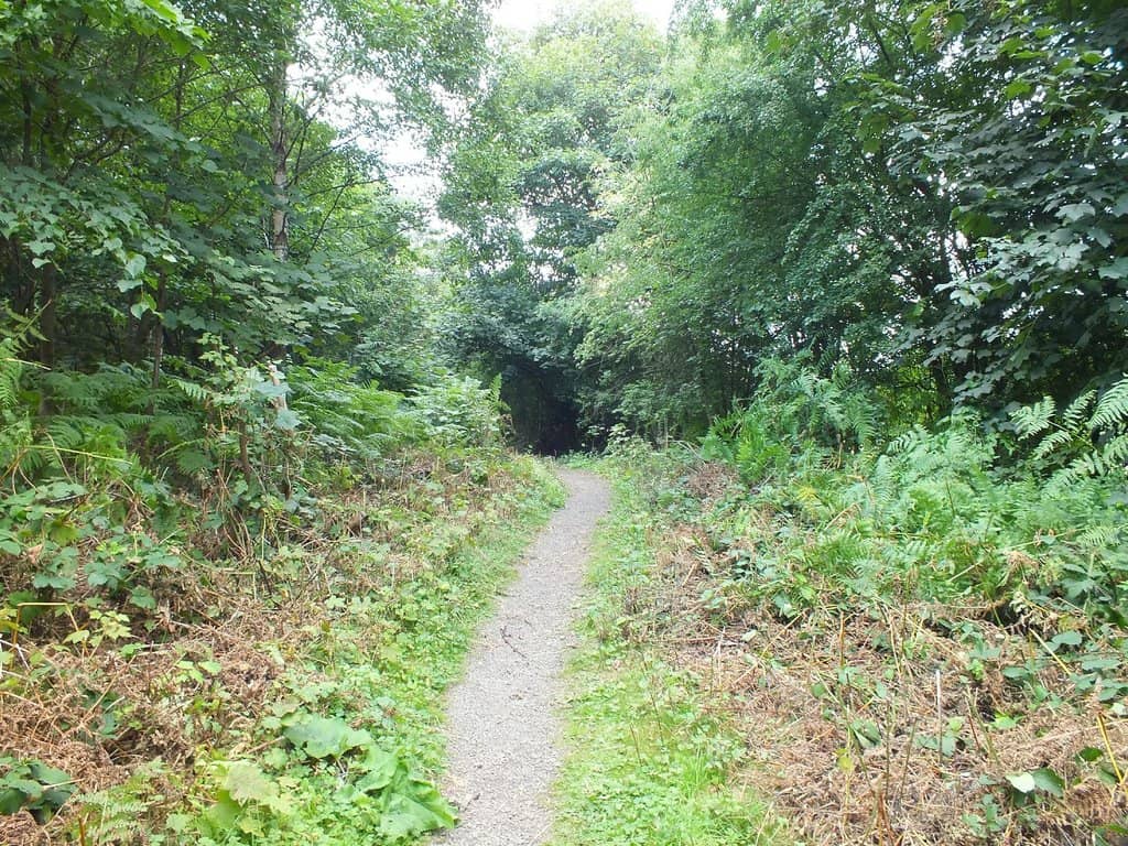 Woodland Adventure Play