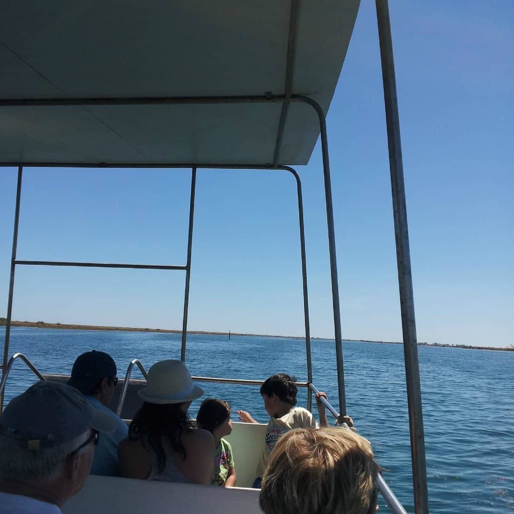 Crystal Clear Waters