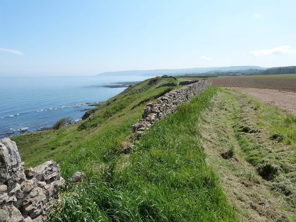 Coastal Path Views