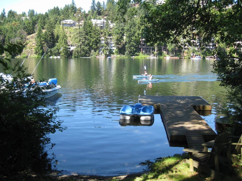 Wildlife Watching Haven