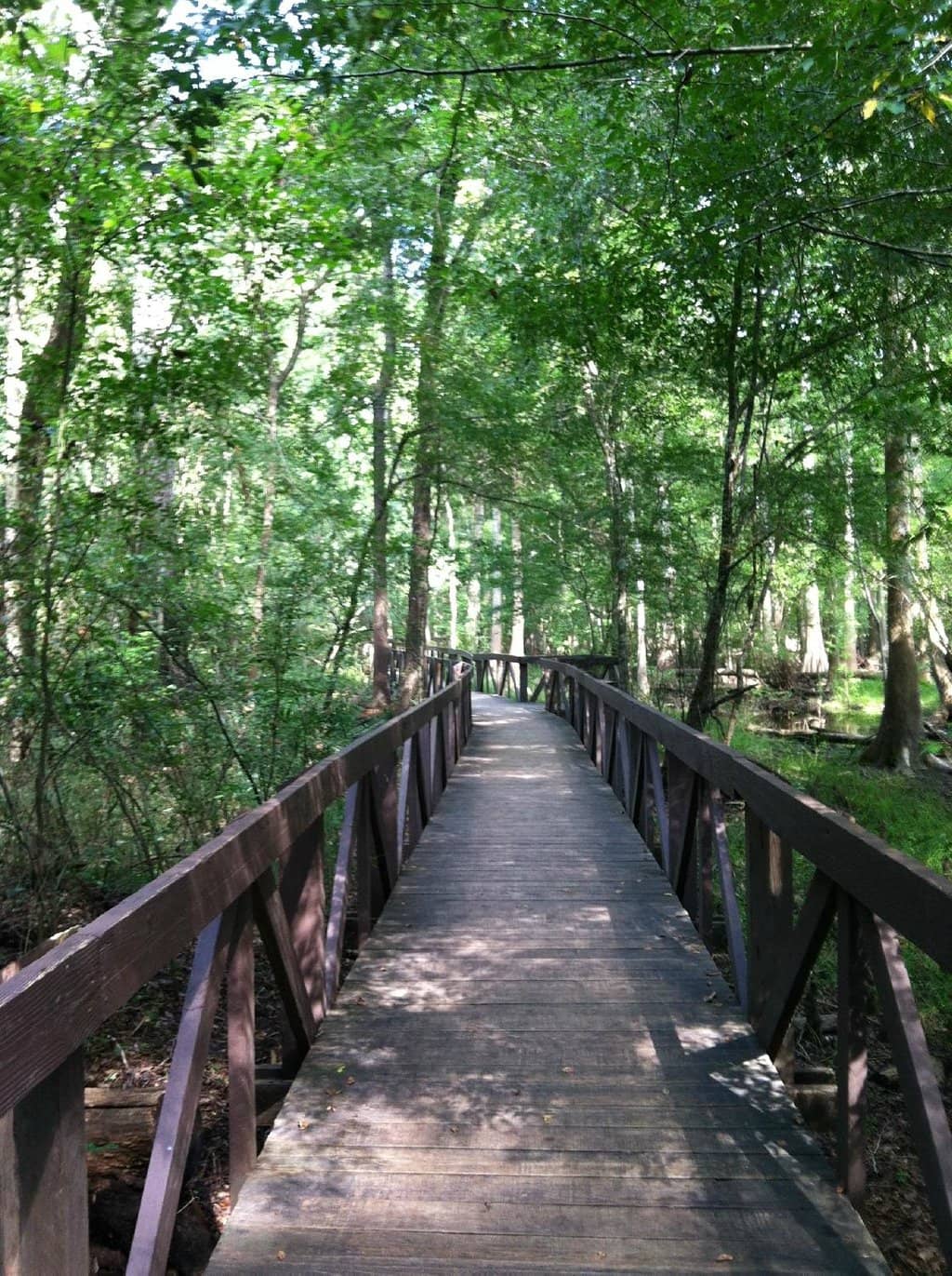 Playground & Picnic Areas