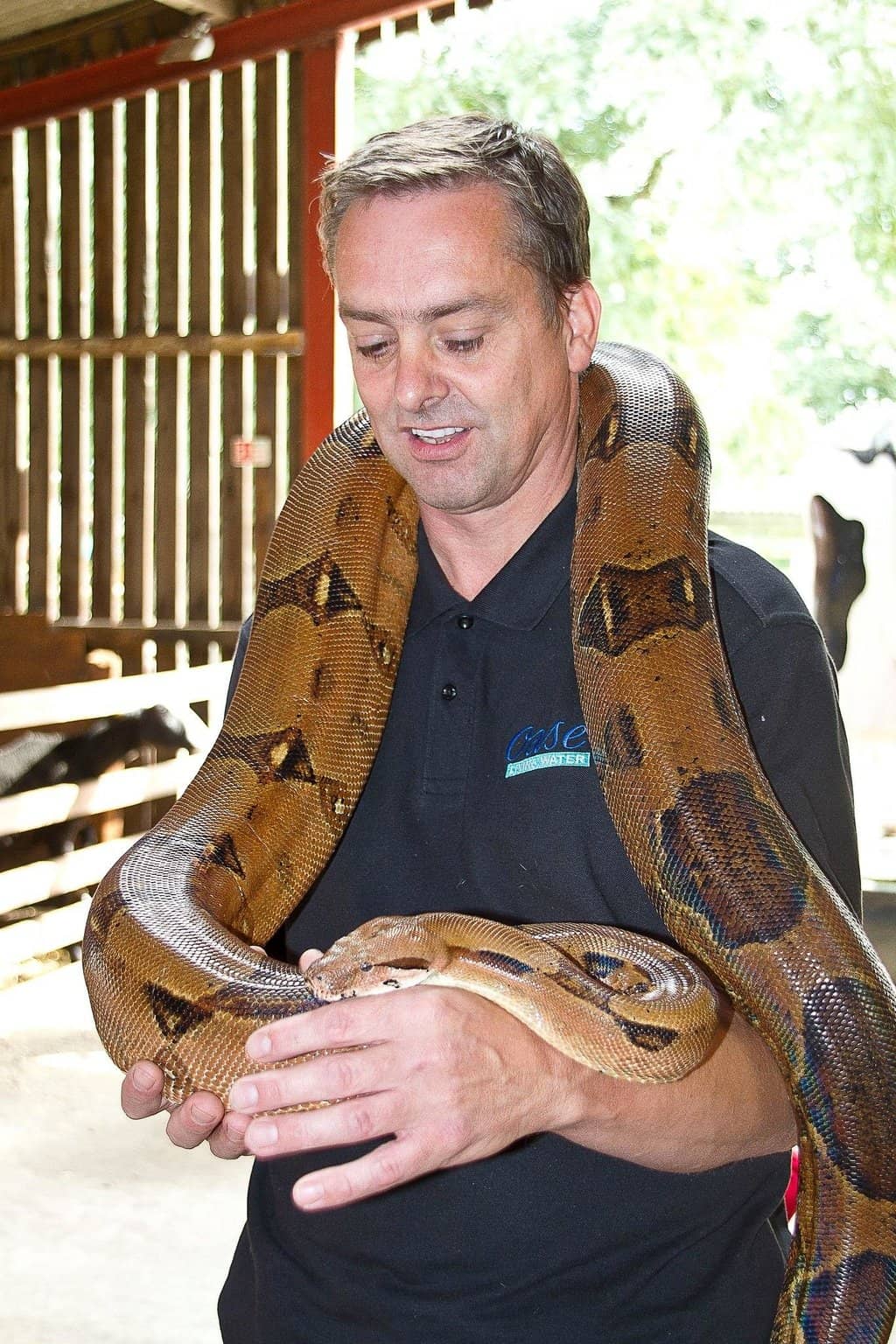 Play Barn & Soft Play