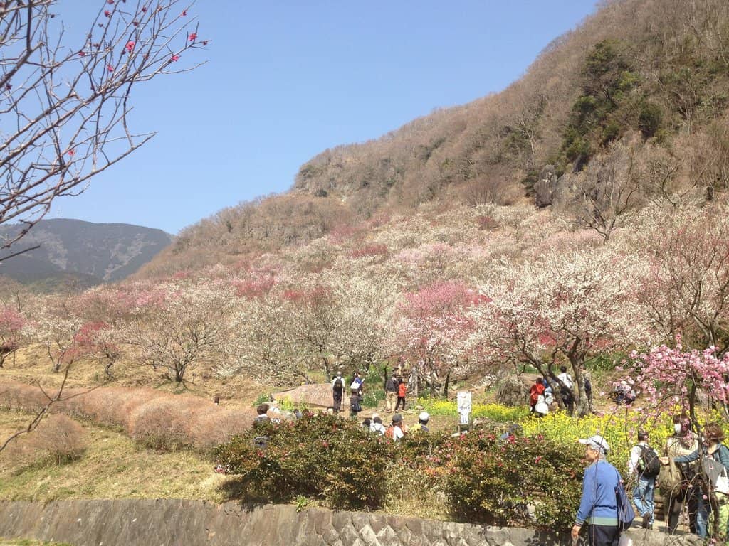 Scenic Hiking Trails