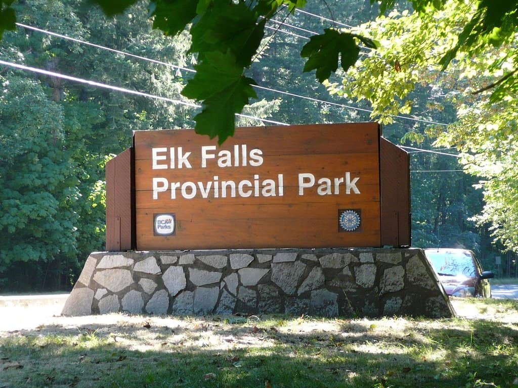 Old-Growth Forest Trails