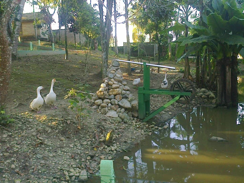 Environmental Education Hub