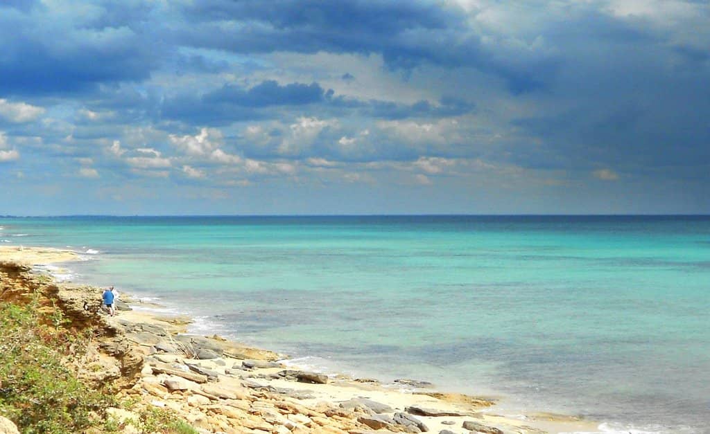 Secluded Sandy Patches