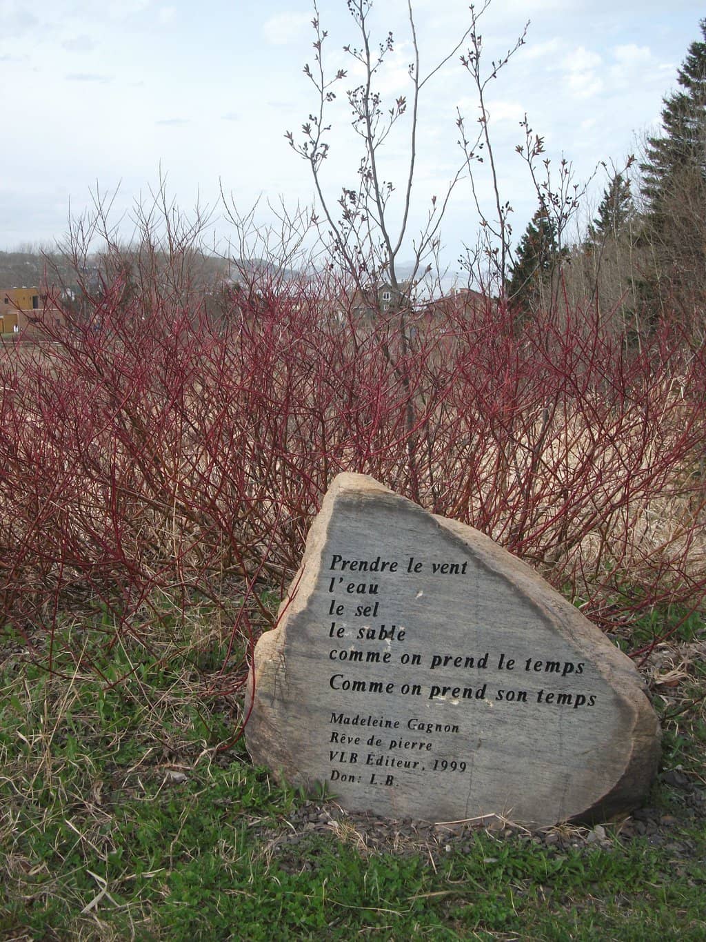 Secluded Coves and Beaches