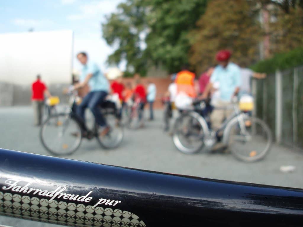 Grunewald Forest Exploration