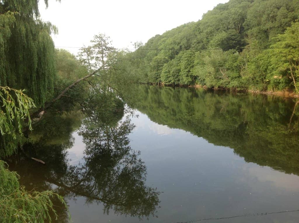 Cozy Atmosphere & Russian Charm