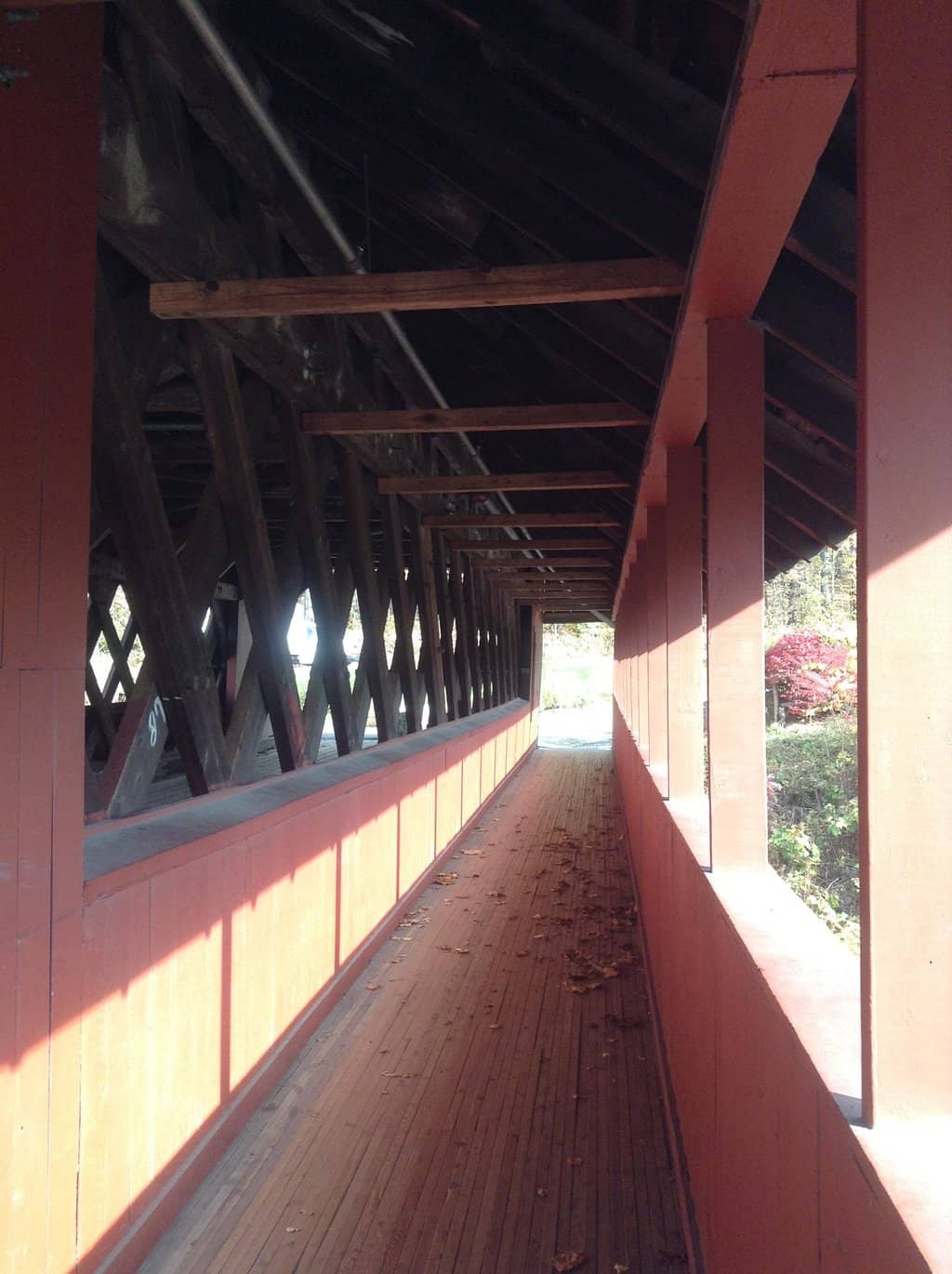 Holiday Tree Display