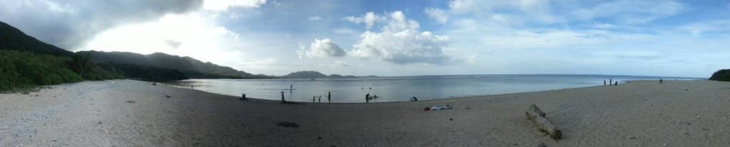 Marine Life Encounters