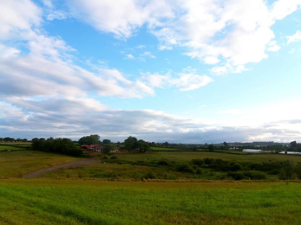 Wetlands and Woodlands