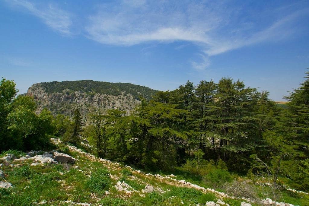 Diverse Hiking Trails