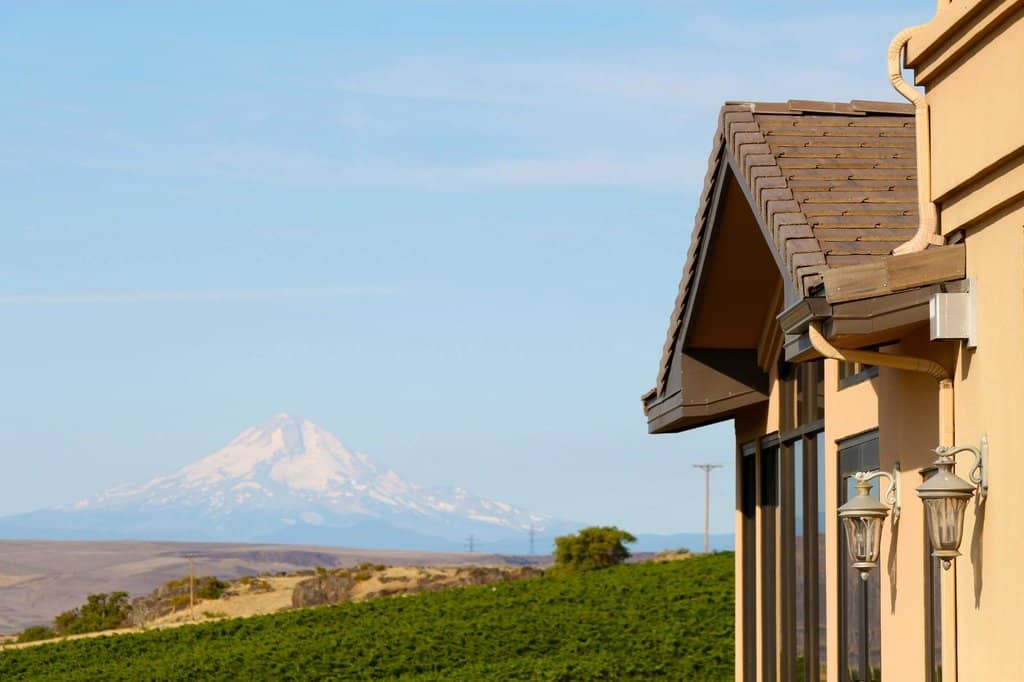 Live Music on the Terrace