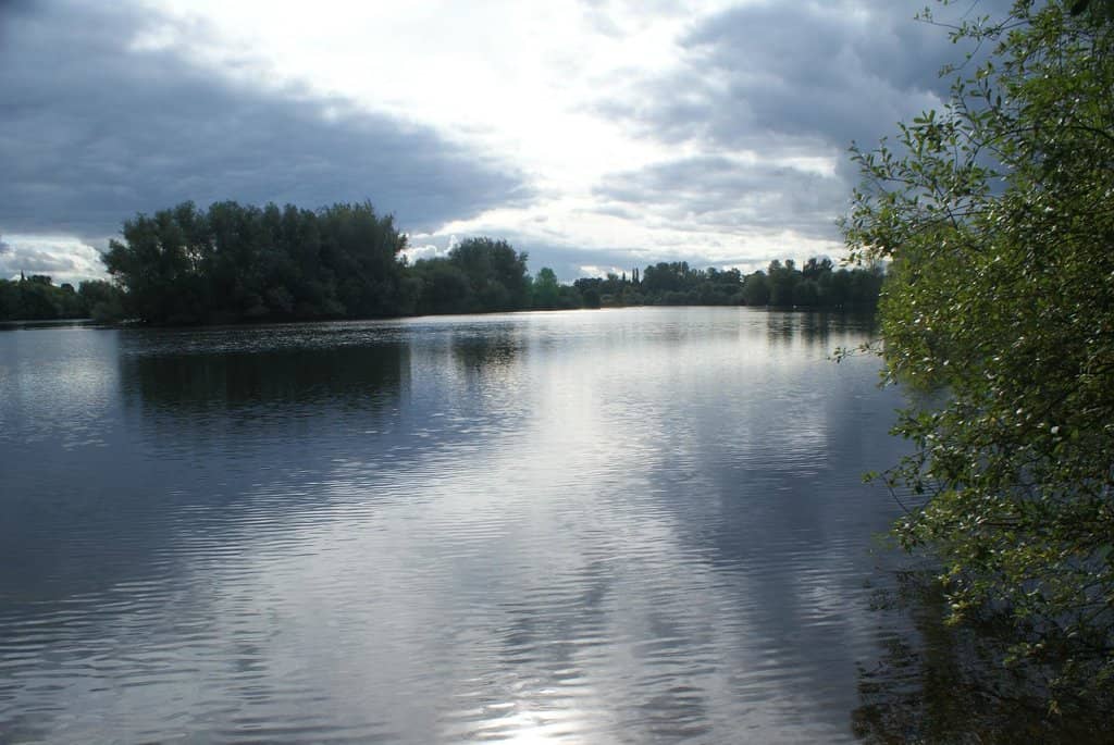 Woodland Walks and Sculptures