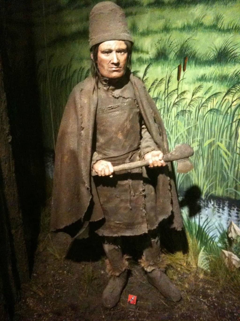 'Woof: A Celebration of Dogs'