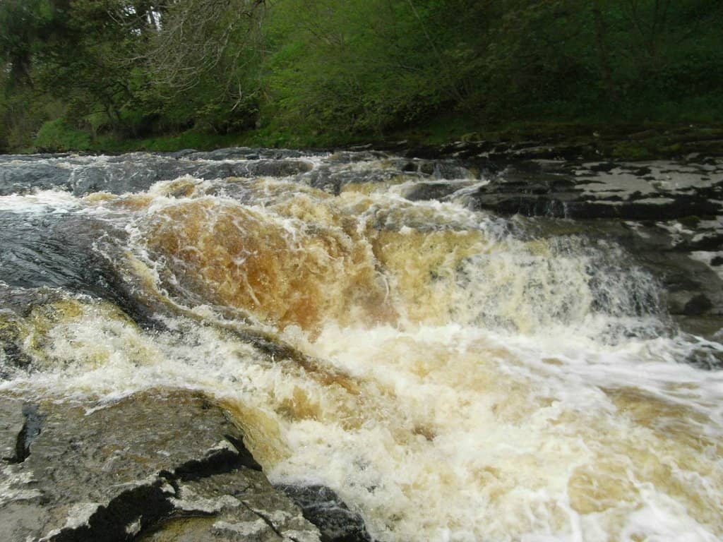 Tombstoning & Wild Swimming