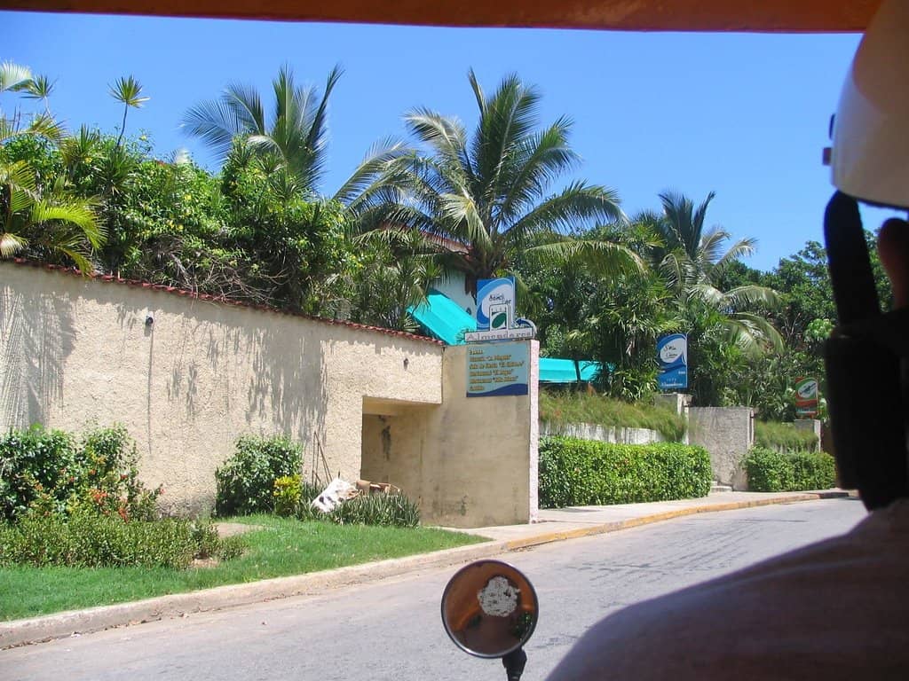 Giant Dinosaur Sculptures