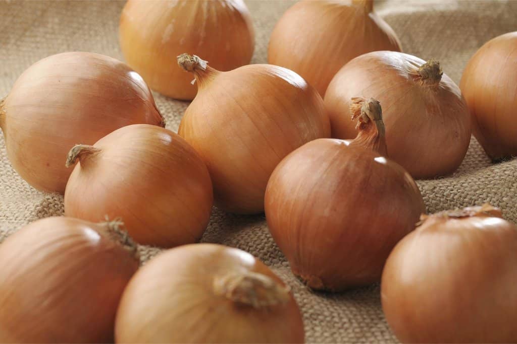 Melon Soft Serve Ice Cream