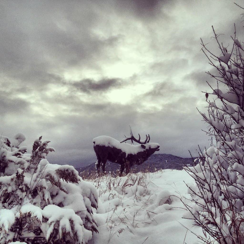 Belarusian Art Collection