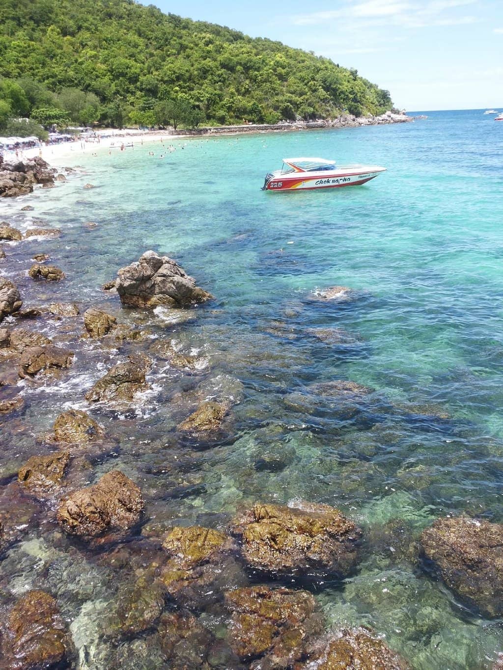 Vibrant Beachfront Dining