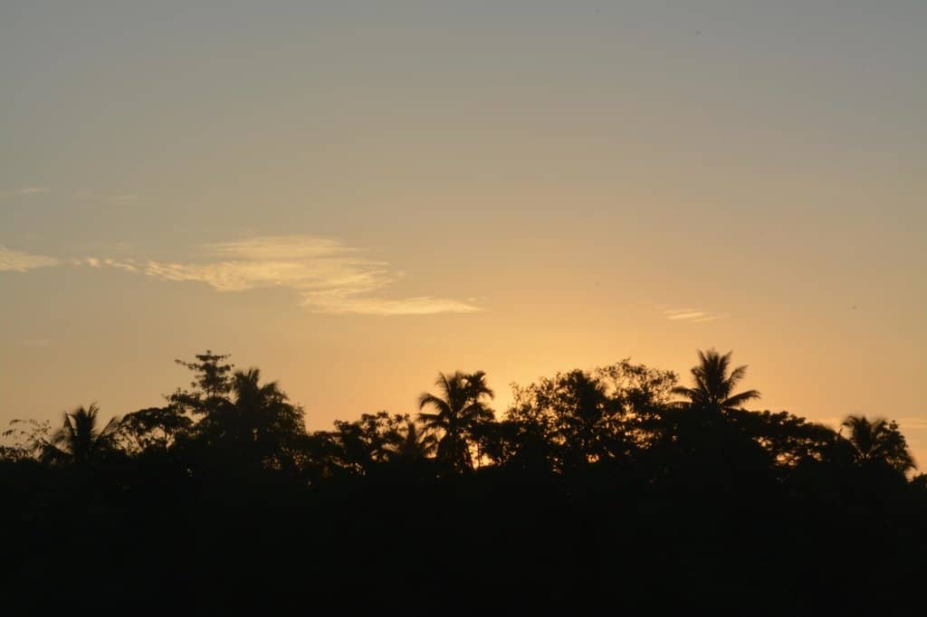 Delicious Boatside Coffee & Snacks