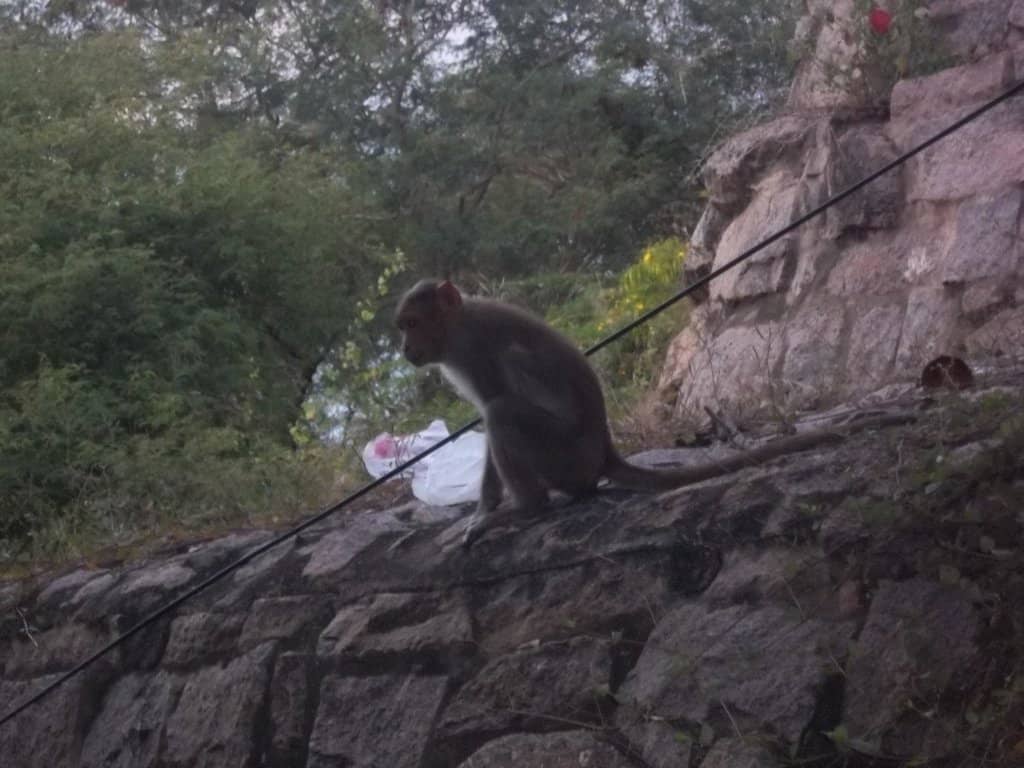 Deities Valli and Deivayanai