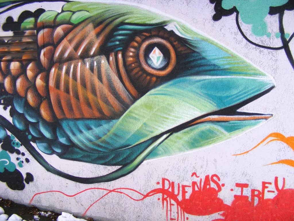 Sports Fields & Courts