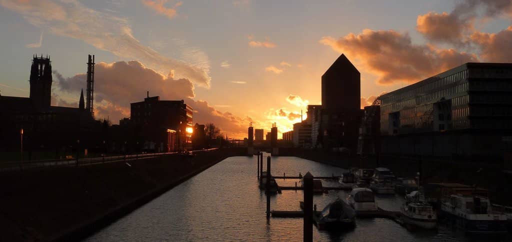 Marine Life Sightings