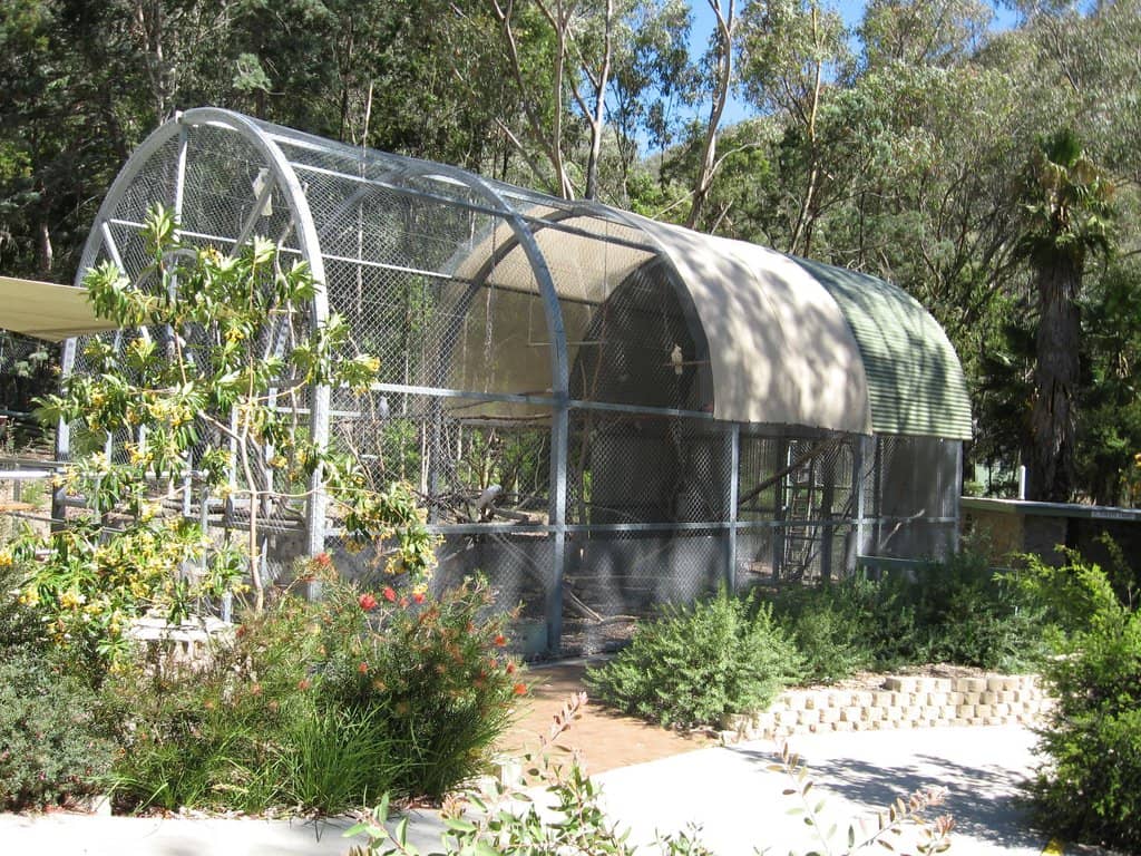 Walk-in Bird Aviary