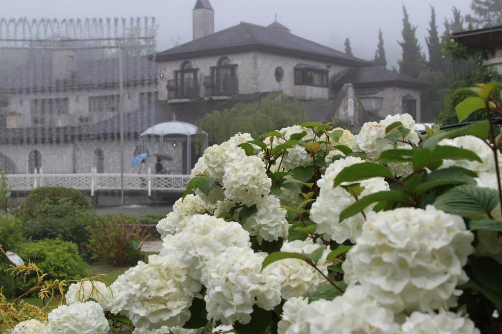 Italian Eatery & Gift Shop