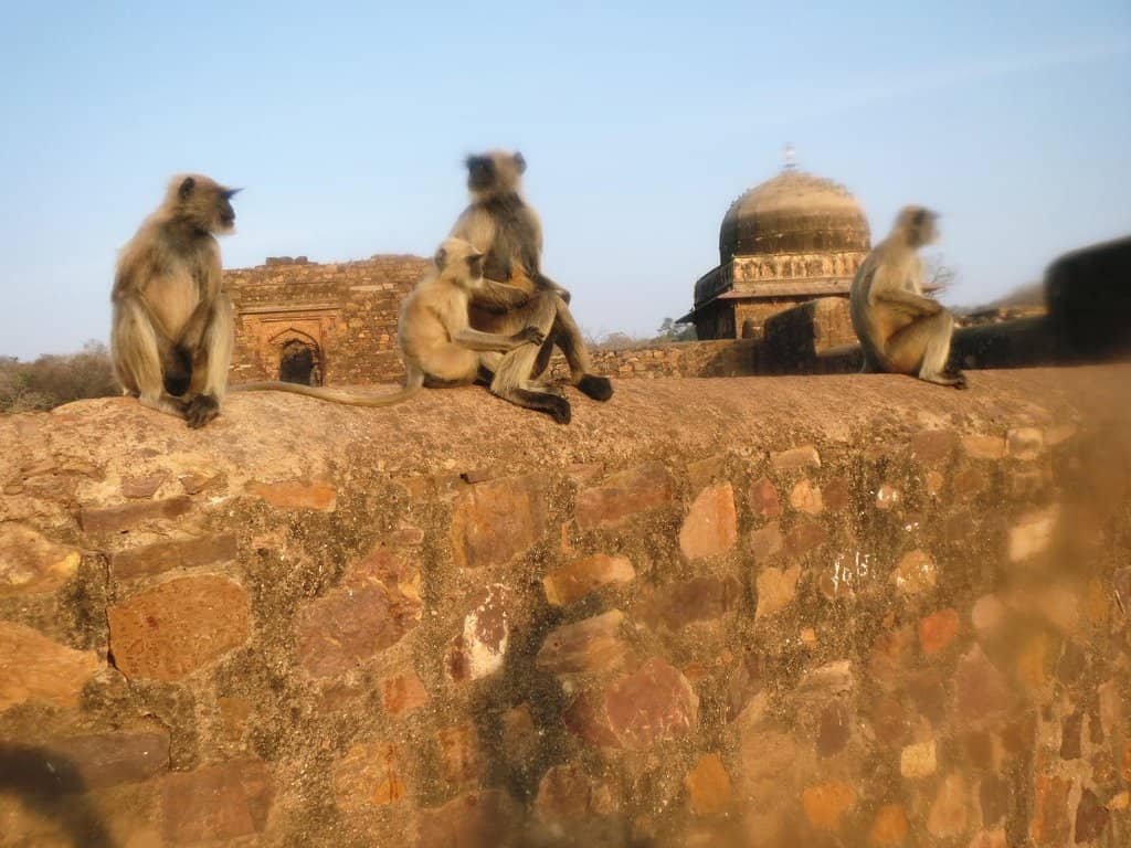 Queen's Palace Ruins