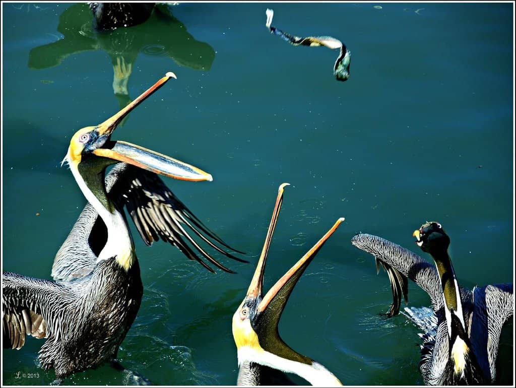 Colonial Architecture