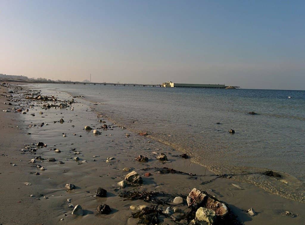 Diverse Sauna Experiences