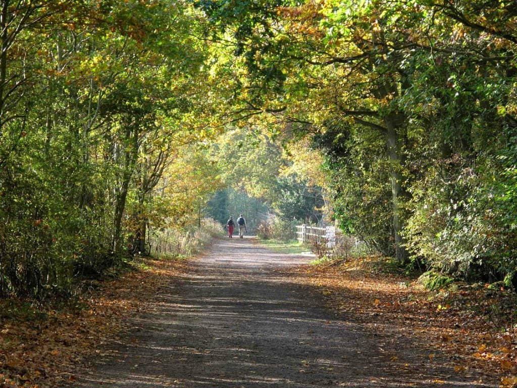 Panoramic Sheffield Views