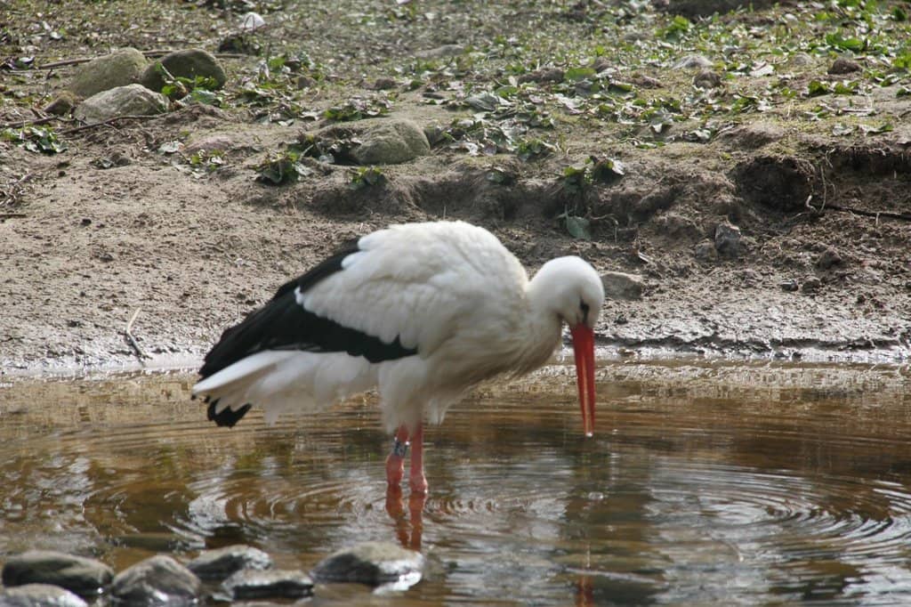 Photography Opportunities