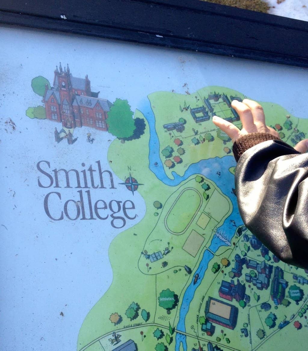 Iconic Tree Swing Spot